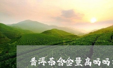 普洱茶含金量高吗吗为什么/2023083080613