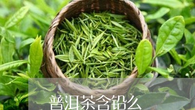 普洱茶含铅么/2023090657616