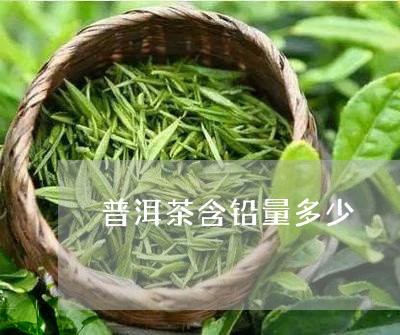 普洱茶含铅量多少/2023083044978