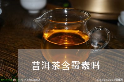 普洱茶含霉素吗/2023112450693