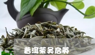 普洱茶吴启英/2023042511376