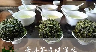 普洱茶吸味道吗/2023121674917