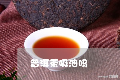 普洱茶吸油吗/2023042918632