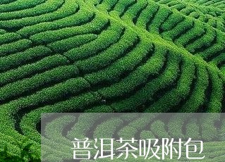 普洱茶吸附包/2023042743215