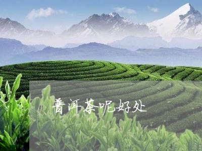 普洱茶呢好处/2023042860691