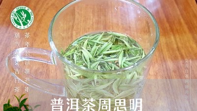 普洱茶周思明/2023042797953