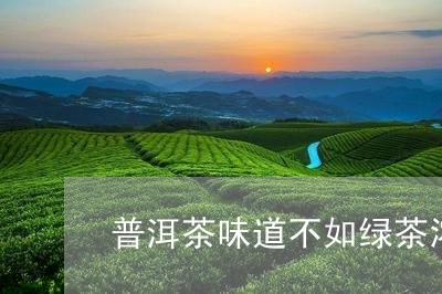 普洱茶味道不如绿茶浓/2023100652726