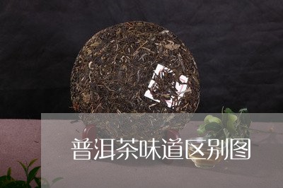 普洱茶味道区别图/2023110688470