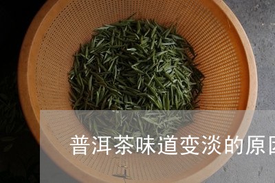 普洱茶味道变淡的原因/2023080215047