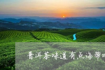 普洱茶味道有点海带味/2023080191747