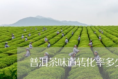 普洱茶味道转化率多少/2023110644049