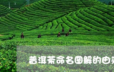 普洱茶命名图解的由来和发展/2023052849735