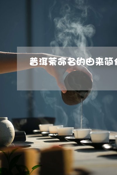 普洱茶命名的由来简介和历史/2023110249584