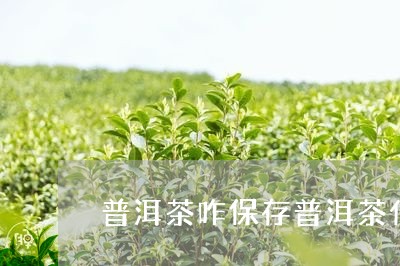 普洱茶咋保存普洱茶什么茶类/2023052779937