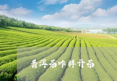 普洱茶咋样开茶/2023081561493