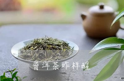 普洱茶咋样醒/2023042714985