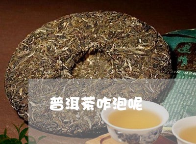 普洱茶咋泡呢/2023042864600