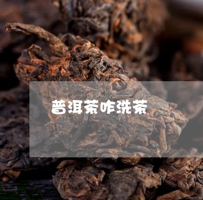 普洱茶咋洗茶/2023042802485