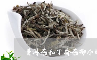 普洱茶和丁香茶哪个好/2023062369261