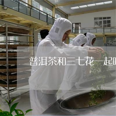 普洱茶和三七花一起喝/2023072107584