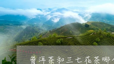 普洱茶和三七花茶哪个好/2023122084259