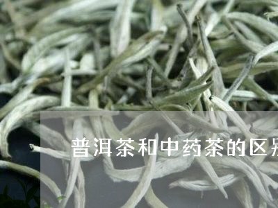 普洱茶和中药茶的区别/2023092874037