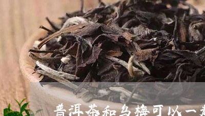 普洱茶和乌梅可以一起泡吗/2024010409393