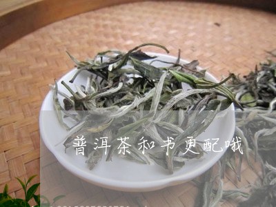 普洱茶和书更配哦/2023101607462