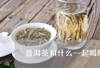 普洱茶和什么一起喝降尿酸/2023051097370