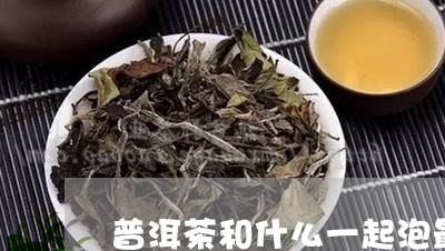 普洱茶和什么一起泡最佳搭配呢/2023110328369