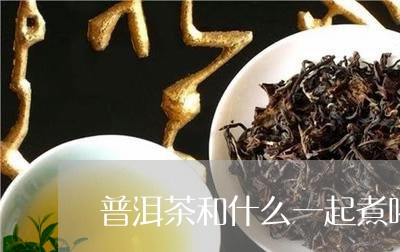 普洱茶和什么一起煮喝/2023082721725