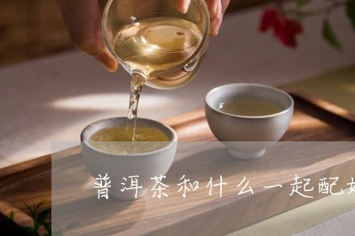 普洱茶和什么一起配好喝/2023112874694