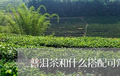 普洱茶和什么搭配可常喝/2023082538282