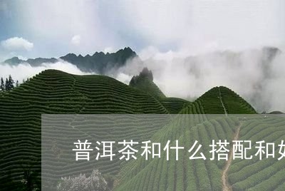 普洱茶和什么搭配和好/2023080159616