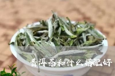 普洱茶和什么搭配好/2023071158150