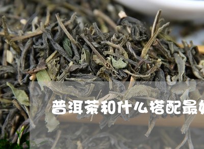 普洱茶和什么搭配最好呢/2023082567273