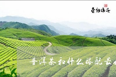 普洱茶和什么搭配最好呢/2023110102028