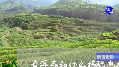 普洱茶和什么搭配泡水喝好/2023110284719