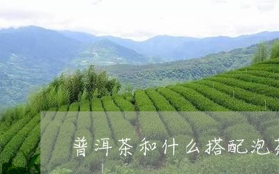 普洱茶和什么搭配泡茶好/2023050728349