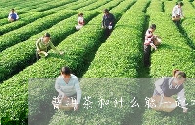 普洱茶和什么能一起喝/2023092668491