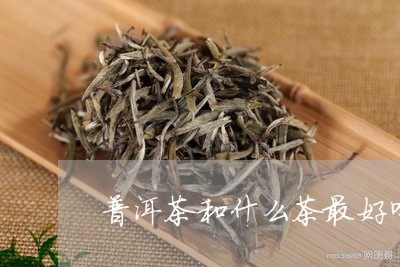 普洱茶和什么茶最好喝/2023080330379