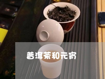 普洱茶和元宵/2023042822095