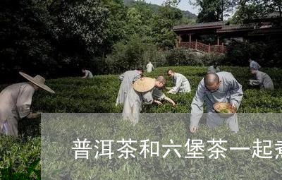 普洱茶和六堡茶一起煮/2023061932415