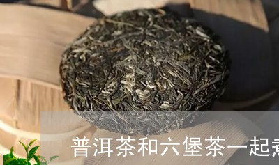 普洱茶和六堡茶一起煮/2023093048253