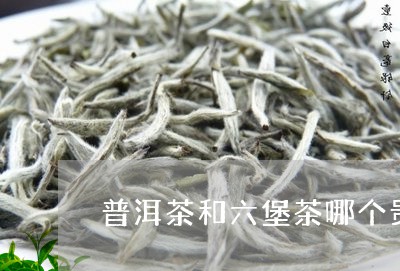 普洱茶和六堡茶哪个贵一些/2023112457371