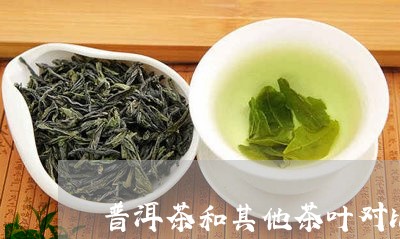 普洱茶和其他茶叶对比/2023100807392