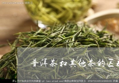 普洱茶和其他茶的区别在哪里呢/2023053032917