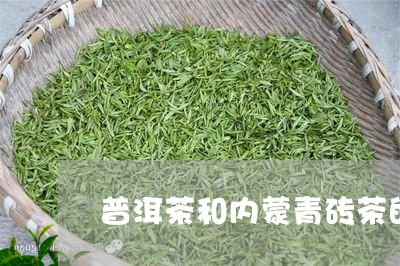 普洱茶和内蒙青砖茶的区别/2023101017248