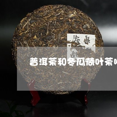 普洱茶和冬瓜荷叶茶哪个减肥效果好/2023060367282