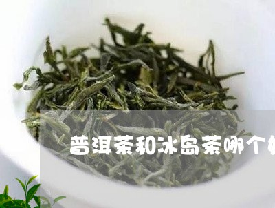 普洱茶和冰岛茶哪个好喝/2023050544736